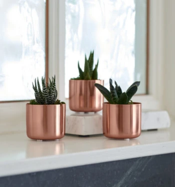 table-planters